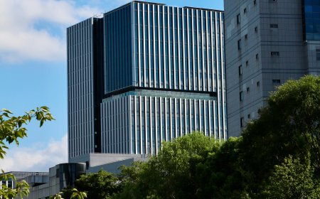 MSIG USA Taps Industry Veterans for Mountain/South Central Growth