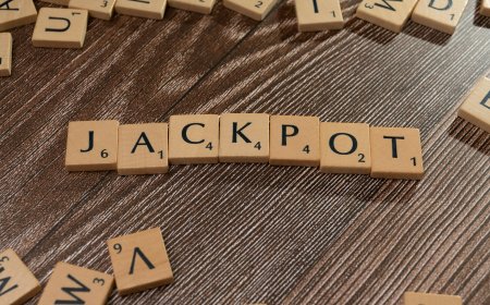 Lotto Max Jackpot: Latest Draws and Big Winners