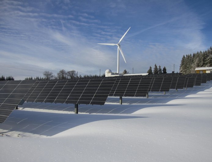 Trump Blocks Approval of Wind and Solar Projects