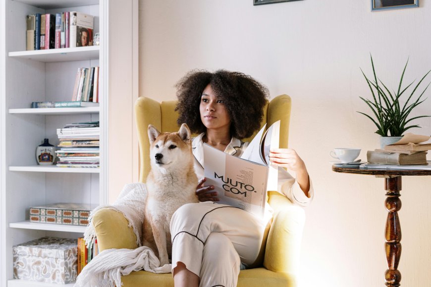 Best Dog Breeds for Apartment Living