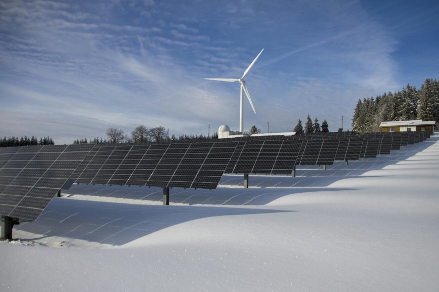 Trump Blocks Approval of Wind and Solar Projects